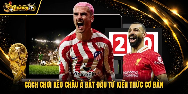 Cách chơi kèo châu Á bắt đầu từ kiến thức cơ bản
