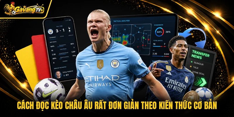 Cách đọc kèo châu Âu rất đơn giản theo kiến thức cơ bản