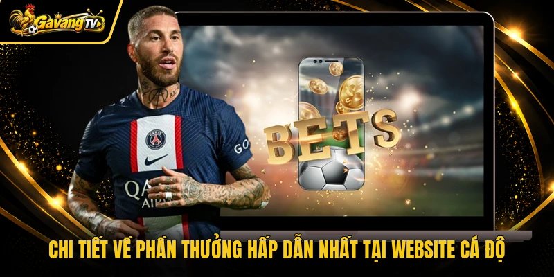 Chi tiết về phần thưởng hấp dẫn nhất tại website cá độ