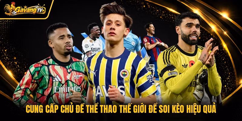 Cung cấp chủ đề thể thao thế giới để soi kèo hiệu quả