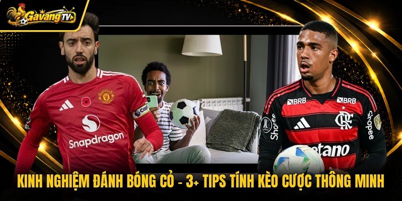 Kinh Nghiệm Đánh Bóng Cỏ - 3+ Tips Tính Kèo Cược Thông Minh