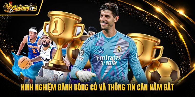 Kinh nghiệm đánh bóng cỏ và thông tin cần nắm bắt