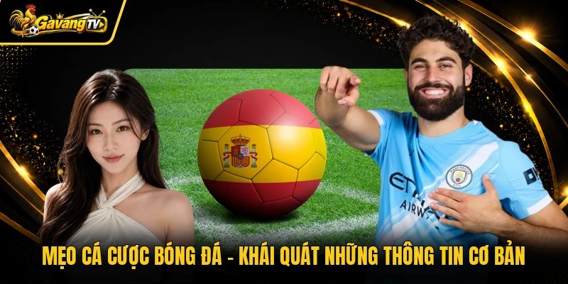 Mẹo cá cược bóng đá - Khái quát những thông tin cơ bản