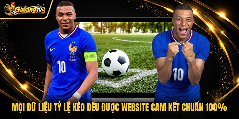 Mọi dữ liệu tỷ lệ kèo đều được website cam kết chuẩn 100%