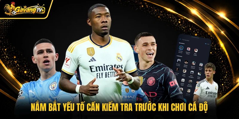 Nắm bắt yếu tố cần kiểm tra trước khi chơi cá độ