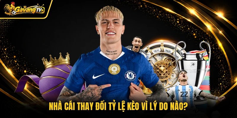 Nhà cái thay đổi tỷ lệ kèo vì lý do nào?