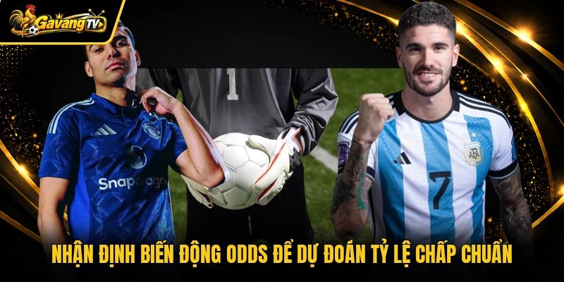 Nhận định biến động odds để dự đoán tỷ lệ chấp chuẩn