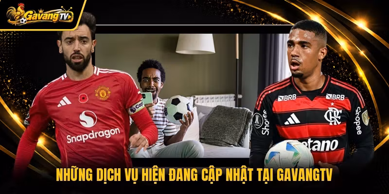 Những dịch vụ hiện đang cập nhật tại Gavangtv