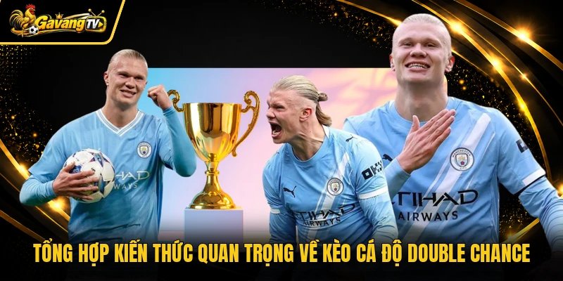 Tổng hợp kiến thức quan trọng về kèo cá độ double chance