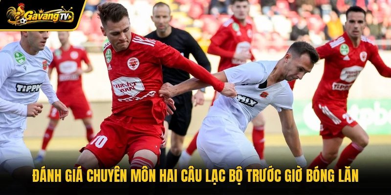 Đánh giá chuyên môn hai câu lạc bộ trước giờ bóng lăn