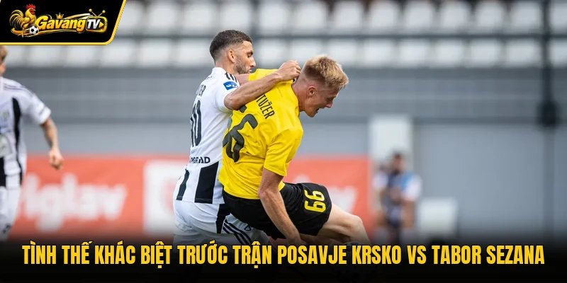 Tình thế khác biệt trước trận Posavje Krsko vs Tabor Sezana